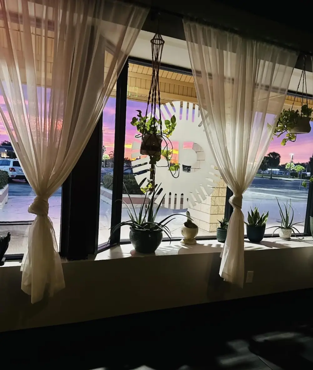 Sunset through the sheer curtains and hanging plants of the Winter Garden yoga studio